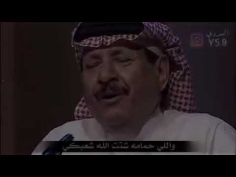 يانار  شبي من ضلوعي حطبكي شعر في قمه الروعهه2019