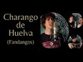 Flamenco de montreal charango de huelva fandangos