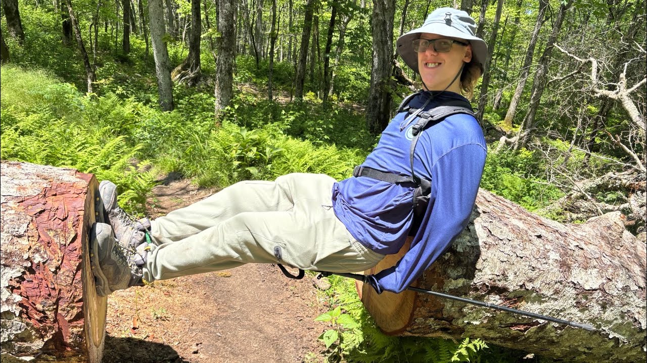 Highest Mountain in Virginia Mount Rogers