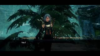 MIR4: Cryptic Stone's Whereabouts 1 Request
