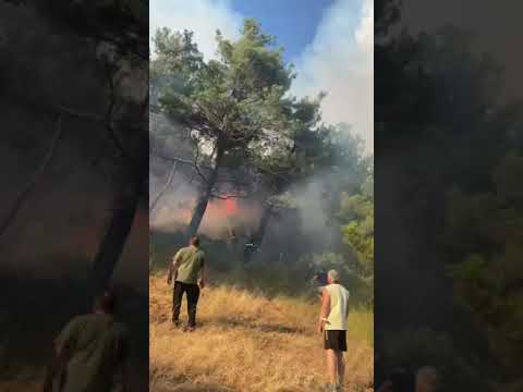 Φωτια Δεσκατη Γρεβενών (1)