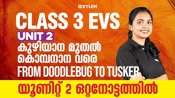 Class 3 EVS | യൂണിറ്റ് 2 - ഒറ്റനോട്ടത്തിൽ / Unit 2 - From Doodlebug to Tusker | Xylem Class 3