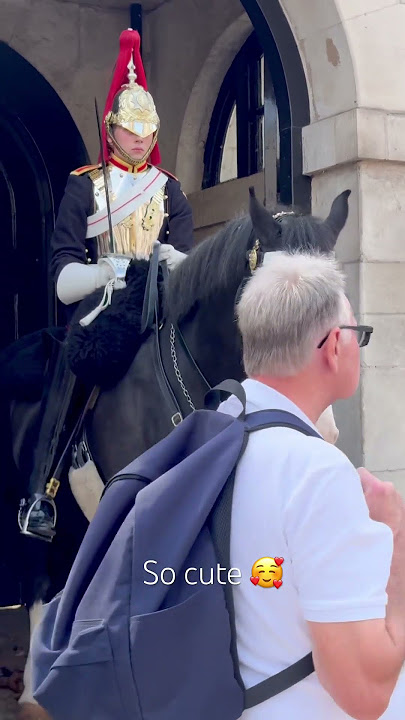 Cutest Royal Guard Horse🥰 #royalguardhorse #royalguard #travel #vacation #horse #cosplay #tourist