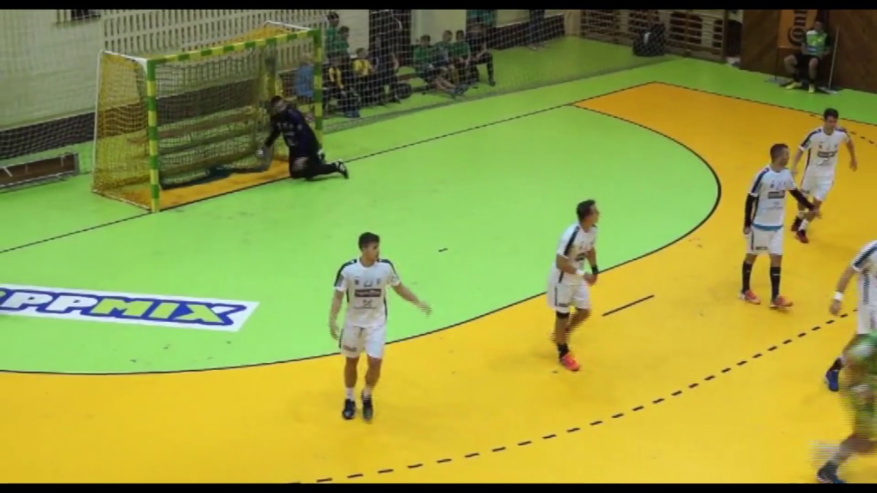 Radojevic Zoran, highlights 2016/17
