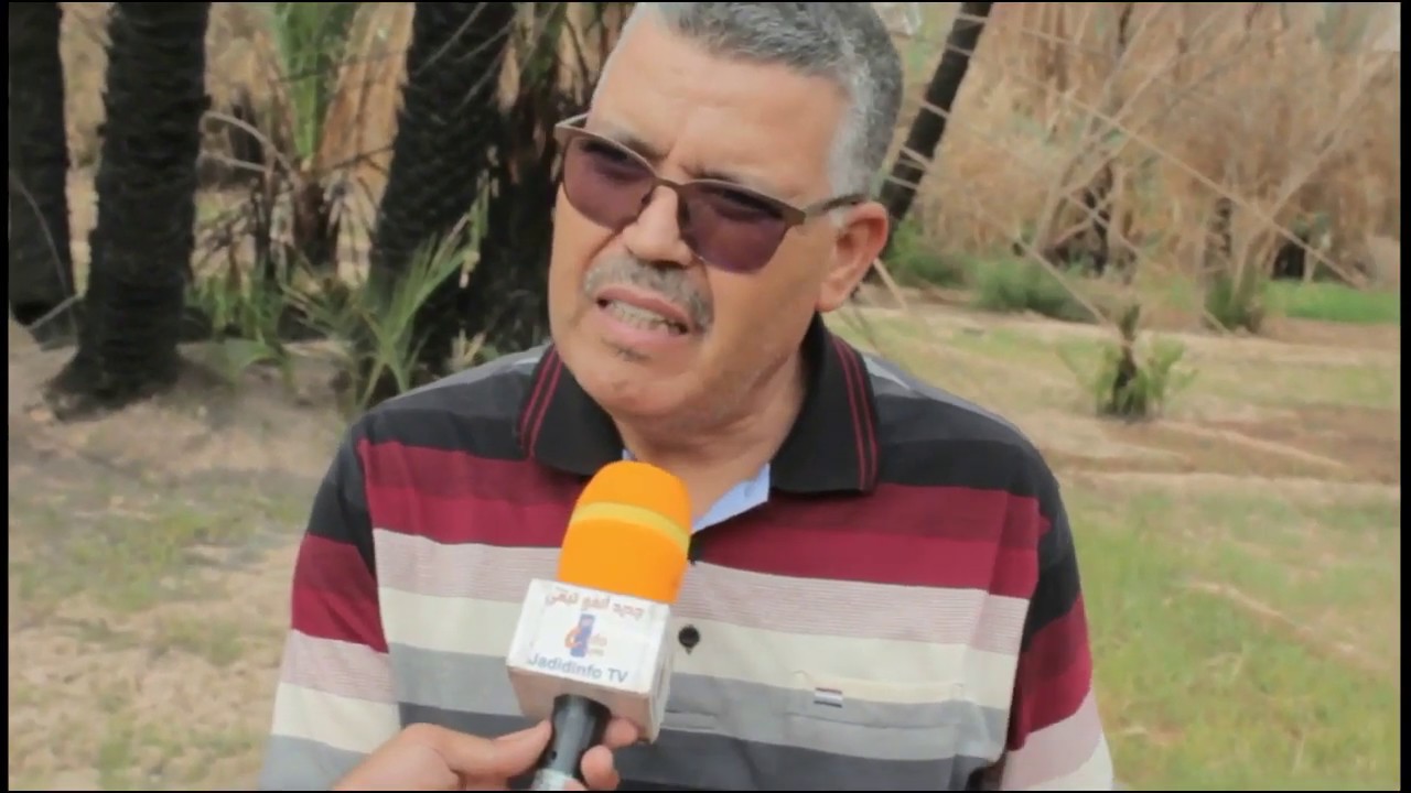 الرشيدية .أثر حريق نخيل واحة لبلاغمة باوفوس على منتوج التمور