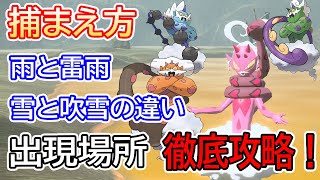 けむり玉を使うと楽！？トルネロス・ボルトロス・ランドロス・ラブトロスの捕獲方法・出現場所・雪と吹雪の違い・雨と雷雨の違いを解説【ポケモンアルセウス・攻略動画・任天堂スイッチ・捕まえ方・けむりだま】