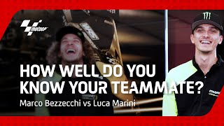 Marco Bezzecchi vs Luca Marini | How well do you know your teammate?