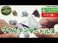 【高コスパ】ガチャガチャ「マウンテンタートルズ」コンプリート開封！