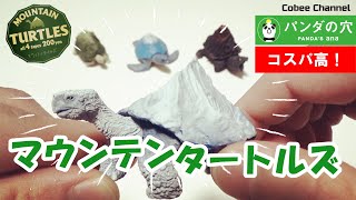 【高コスパ】ガチャガチャ「マウンテンタートルズ」コンプリート開封！