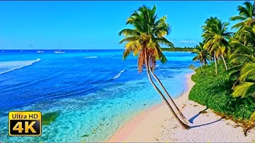 سورة الأنعام للقارئ ياسر الدوسري | video 4k