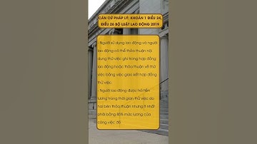 Trong Thời Gian Thử Việc, Người Lao Động Có Được Trả Lương Không?