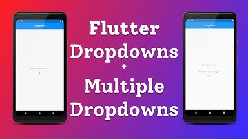 DropDown And Multiple DropDown In Flutter | By Desi Programmer