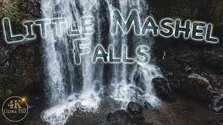 Easy Waterfall Hike Near Seattle Little Mashel Falls Trail 4K Forest Walk