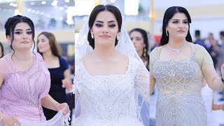 الفنان احمد شنكالي - داود سليمان - زفاف - اراس & بيريفان - P ( 3 ) تصوير العزاوي فيديو - 07831490516