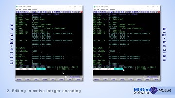 MQEdit: Native Encoding | MQGem Facet