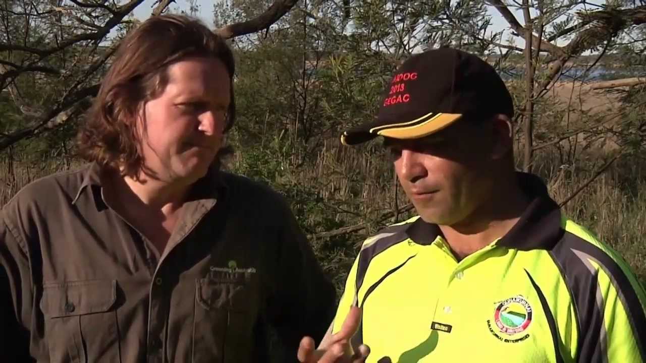 Healing the Land YouTube