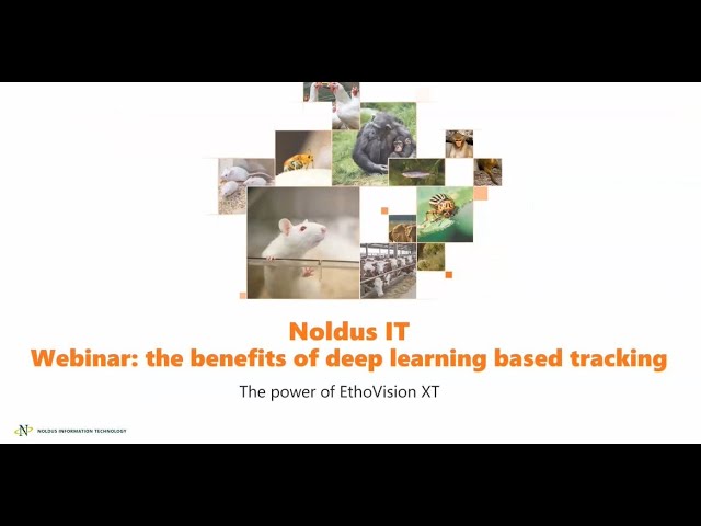 Deep Learning-Based Animal Tracking Technology