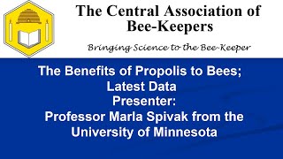 Benefits of Propolis to Honey Bees:  Newest Data - a talk by Marla Spivak