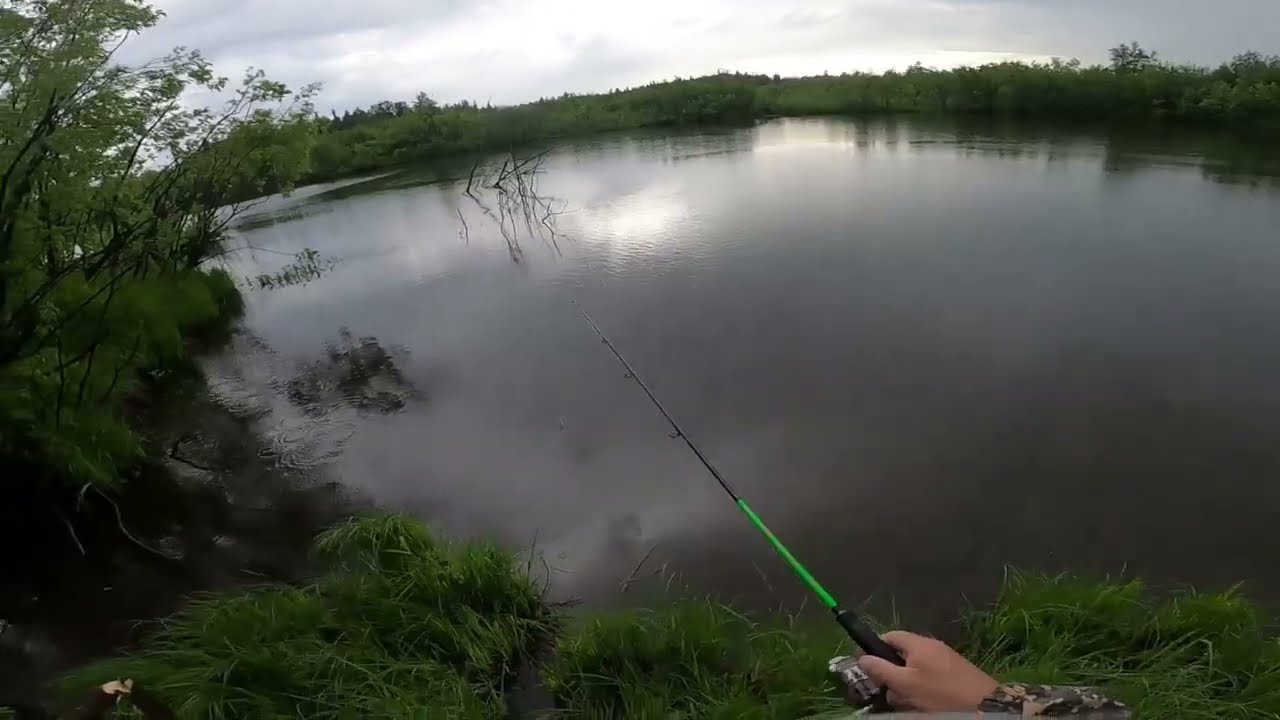 Защита от комаров THERMACELL.Тест на рыбалке.