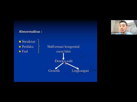 Video: Perbedaan Antara Adrenal Cortex Dan Adrenal Medulla