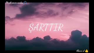 Sinan Akçıl feat. Ferah Zeydan - Şarttır