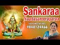 Sankaraa naadasareeraparaa      film instrumental by veena meerakrishna
