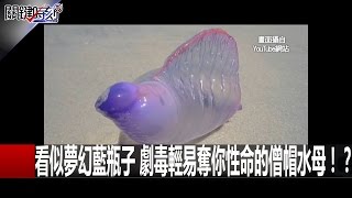 關鍵時刻 20160518 一刀未剪版