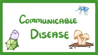 GCSE Biology - Communicable Disease  #34