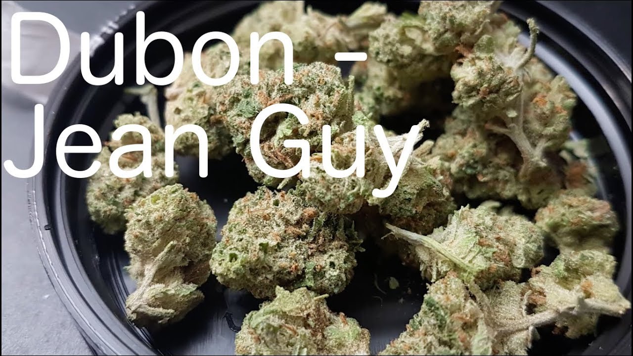 SQDC - Dubon - Jean Guy