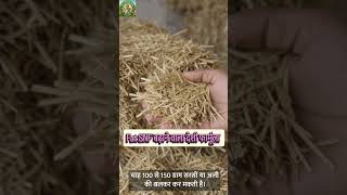 Cow buffalo milk FAT SNF increase tips #shorts