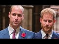 Royal Expert Makes A Harsh New Claim About Harry And William