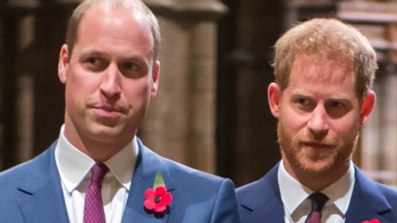 Royal Expert Makes A Harsh New Claim About Harry And William