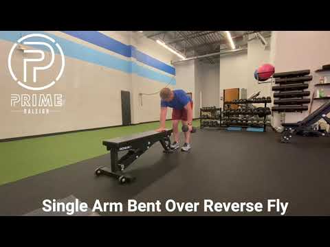 Single Arm Bent Over Reverse Fly - YouTube