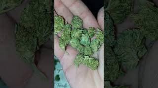 Kush Hemp CBD flower @TweedleFarms (is it good?)
