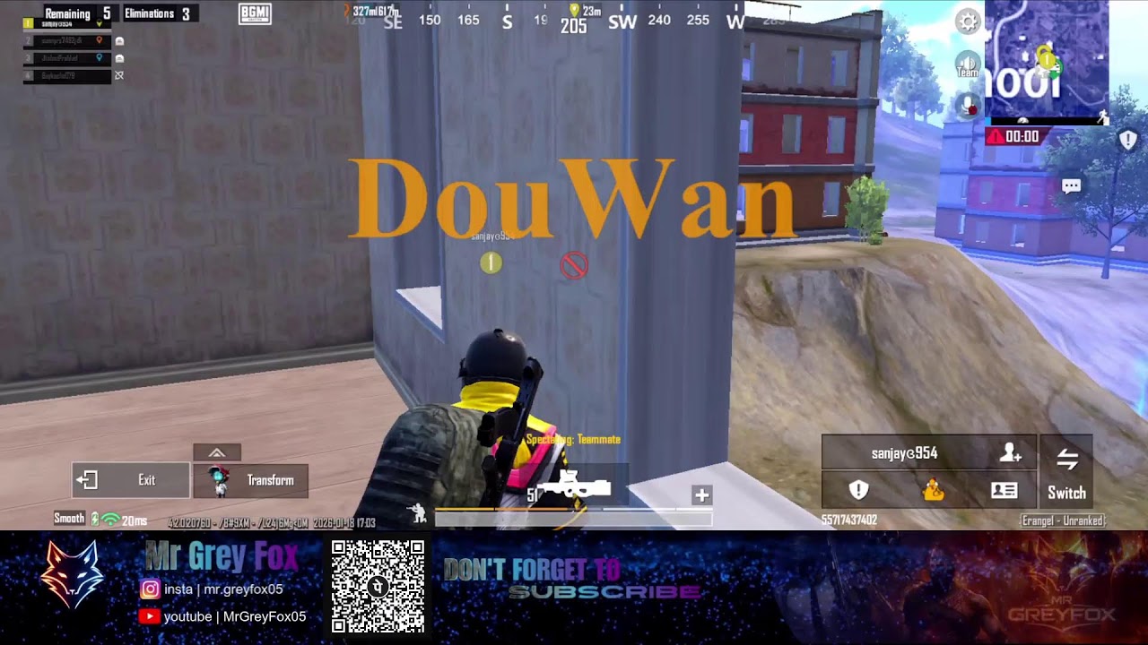 Mr Grey Fox Live Stream