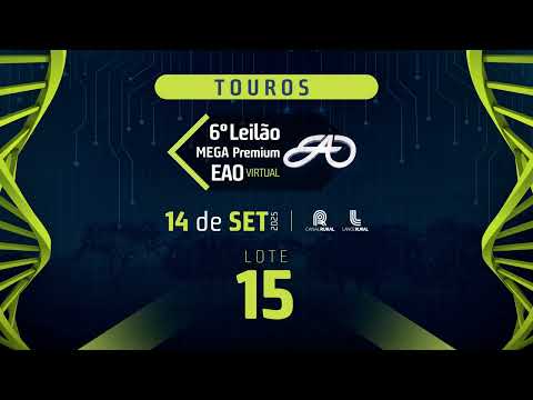 LOTE 15