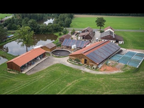 (Doku in HD) Schöner Mist - Der Traum vom eigenen Bauernhof