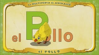 La Multipedia De Animales. Letra P - El Pollo