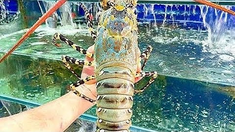 Giá Hải Sản Nhà Hàng Cung Đường Huỳnh Thúc Kháng Mũi Né Du Lịch Phan Thiết