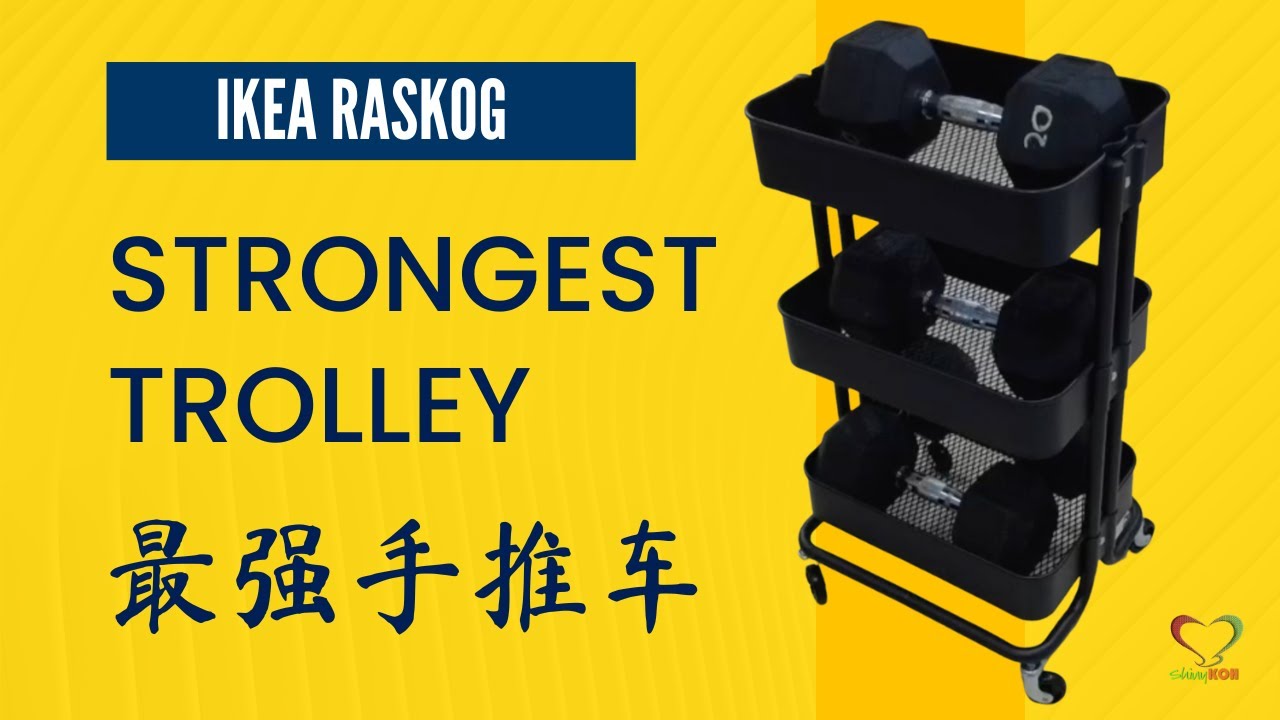 strongest-trolley-ikea-raskog-shinykoh-vlog