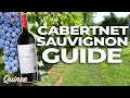 Cabernet Sauvignon What You Need To Know About The Great Colonizer 