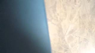 Phone Vibrations
