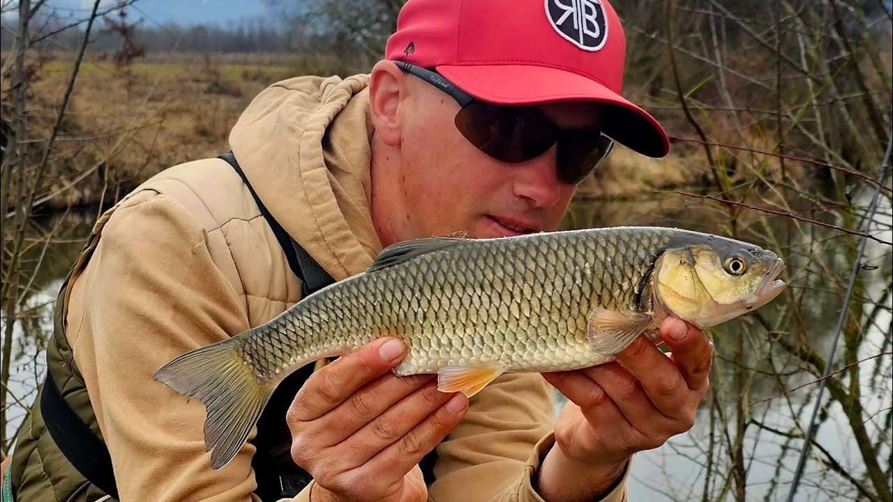 🎣 PESCUIT în MLAȘTINI și BARAJELE de CASTOR - O PARTIDĂ excelent la CLEAN 🎣