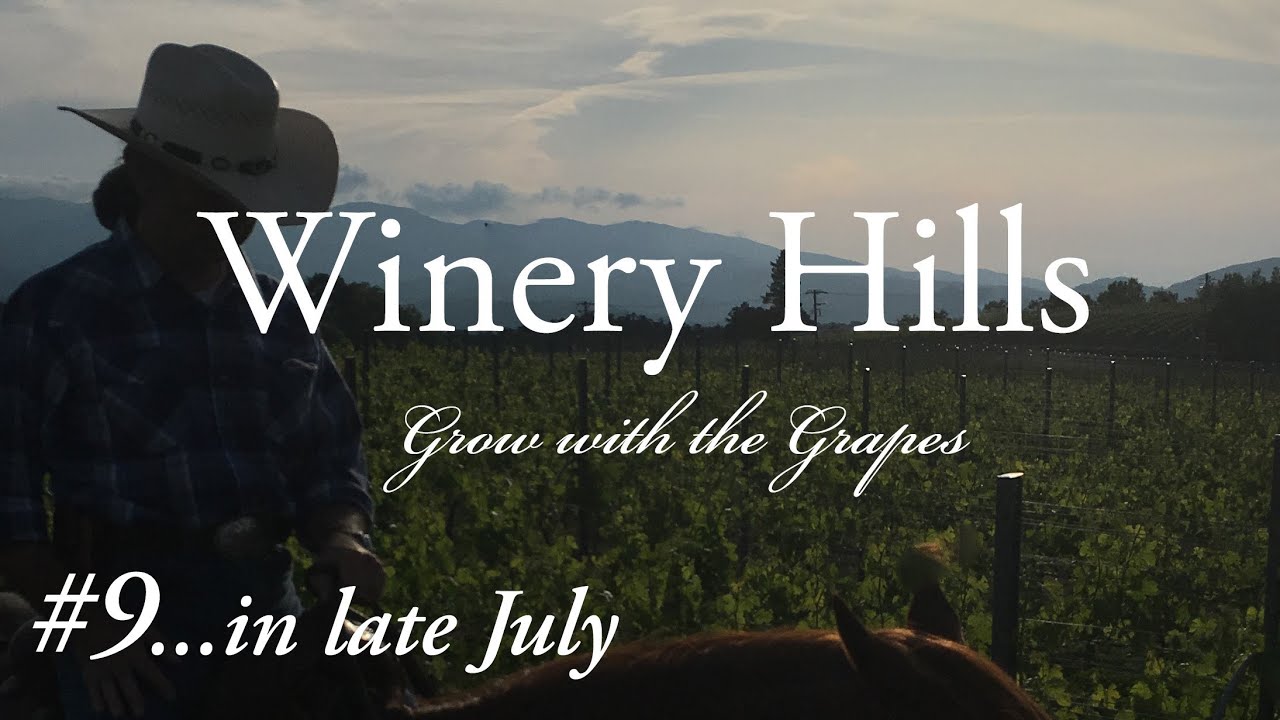 【Introduction of WINERY HILLS】ワイナリーぶどう畑 #9『特別編集版』