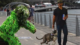 Ultimate Bushman Prank On Dogs