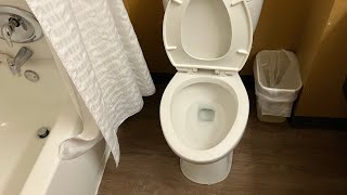 38: Niagara Stealth Toilet