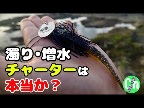 悩む！チャターベイトとスピナーベイトの使い分け！【濁り増水】【夏