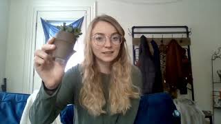 shitty first drafts: what comes next?