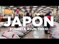 Subasta Atún Tokio | Mercado de Tsukiji
