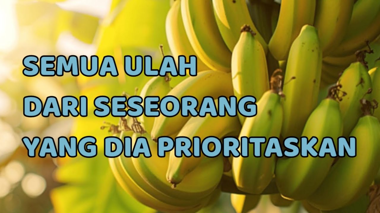 🎆 SEMUA ULAH DARI SESEORANG YANG DIA PRIORITASKAN 🎆